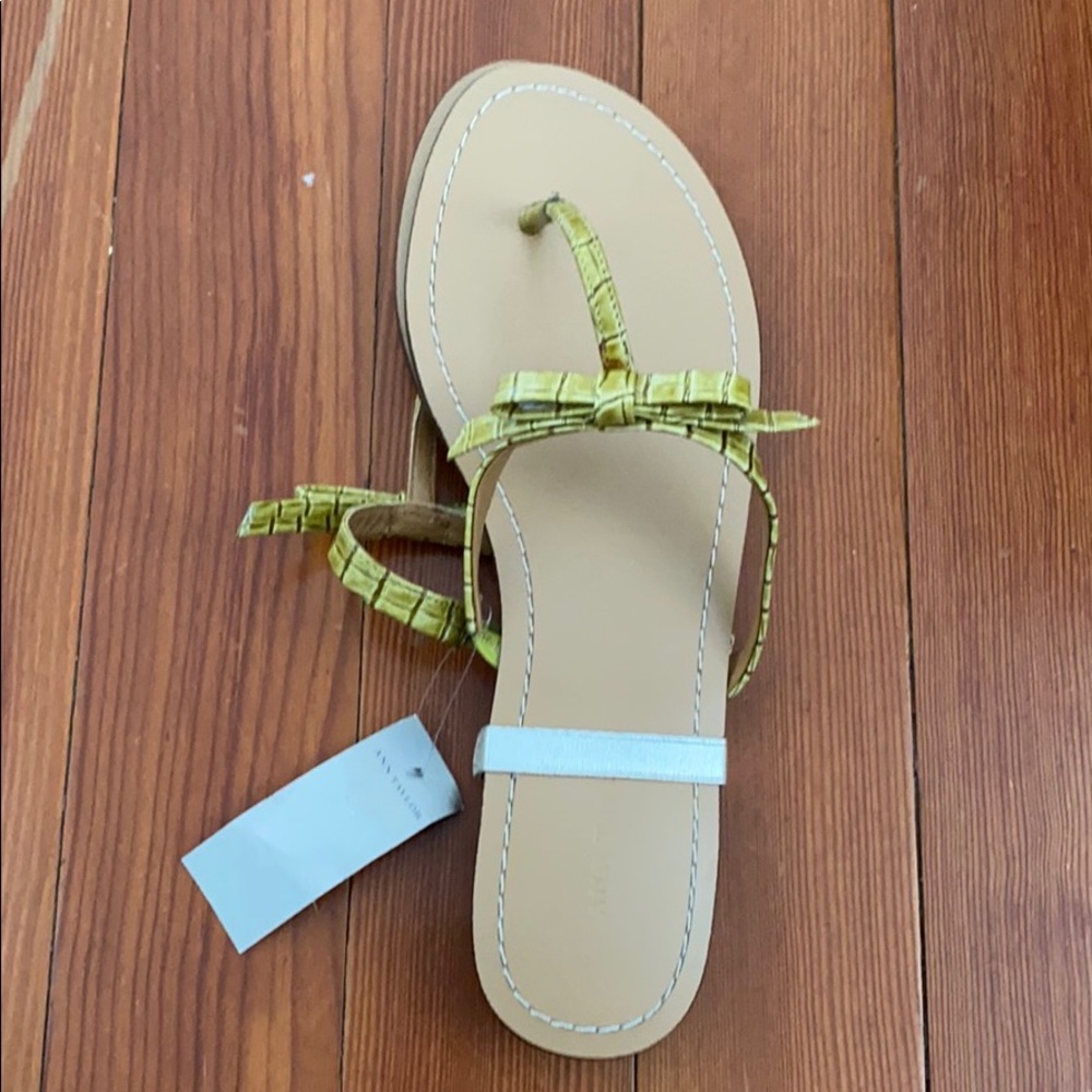 Ann Taylor Sandal